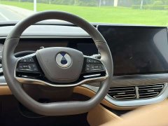 Denza BYD Denza D9 DM-i 970 Luxury - photo 15