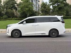 Denza BYD Denza D9 DM-i 970 Luxury - photo 16