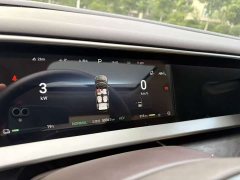 Denza BYD Denza D9 DM-i 970 Luxury - photo 17