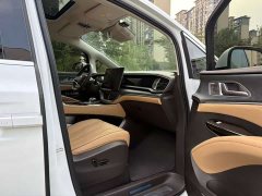 Denza BYD Denza D9 DM-i 970 Luxury - photo 7