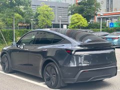 Tesla Model Y Rear-Wheel Drive - ფოტო 15