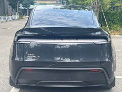 Tesla Model Y Rear-Wheel Drive - ფოტო 16