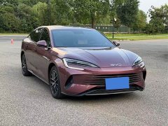 BYD Seal 2023 DM-i 1.5L 121km Luxury - ფოტო 3