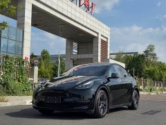 Tesla Model Y Standard Range RWD - ფოტო 1