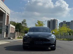 Tesla Model Y Standard Range RWD - ფოტო 2