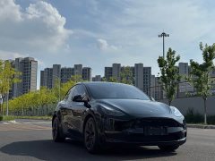 Tesla Model Y Standard Range RWD - ფოტო 3