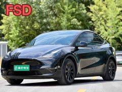 Tesla Model Y Standard Range RWD - ფოტო 1