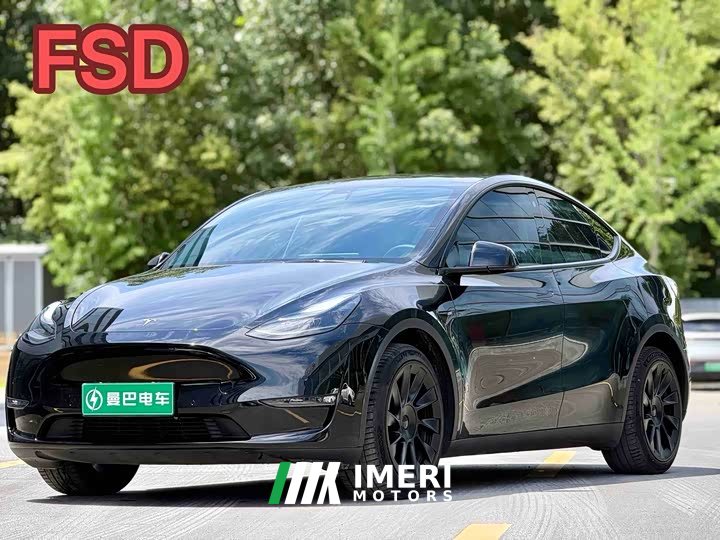 Tesla Model Y Standard Range RWD