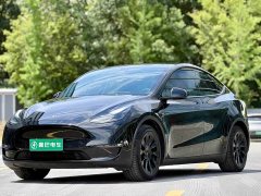 Tesla Model Y Standard Range RWD - ფოტო 2