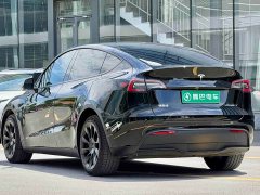 Tesla Model Y Standard Range RWD - ფოტო 7