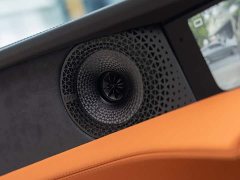 Lotus EMEYA R - ფოტო 18