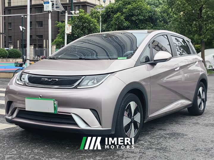 BYD Dolphin 420km Fashion Edition - ავტომობილი ჩინეთიდან