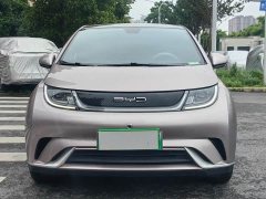 BYD Dolphin 420km Fashion Edition - ფოტო 2