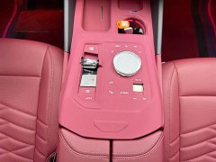 BMW 5 Series 530Li Luxury M Sport Package - ფოტო 10