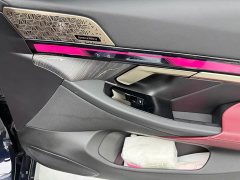 BMW 5 Series 530Li Luxury M Sport Package - ფოტო 13