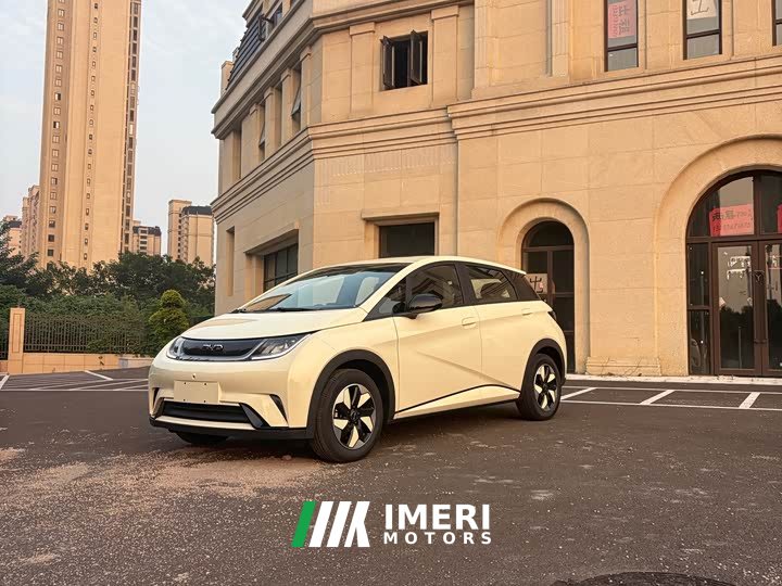 BYD Dolphin 2025 420km Freedom Edition - ავტომობილი ჩინეთიდან