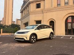 BYD Dolphin 2025 420km Freedom Edition - ფოტო 1
