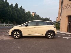 BYD Dolphin 2025 420km Freedom Edition - ფოტო 5
