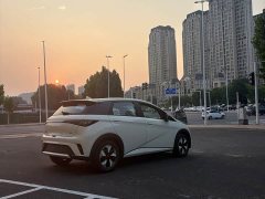 BYD Dolphin 2025 420km Freedom Edition - ფოტო 9