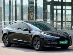 Tesla Model 3 Standard Range RWD Upgrade - ფოტო 3