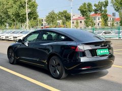 Tesla Model 3 Standard Range RWD Upgrade - ფოტო 6