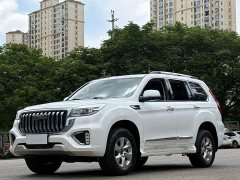 Haval H9 2.0T Petrol 4WD Elite 5-Seat - photo 1