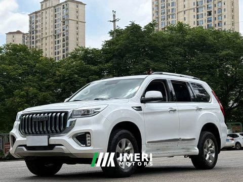 2022 Haval H9 2.0T Petrol 4WD Elite 5-Seat - ავტომობილი ჩინეთიდან