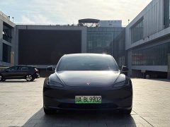 Tesla Model 3 2023 Long Range All-Wheel Drive - ფოტო 2
