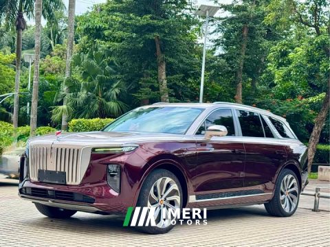 2021 FAW Hongqi E-HS9 510km Flagship 4-Seat - ავტომობილი ჩინეთიდან