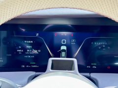 FAW Hongqi E-HS9 510km Flagship 4-Seat - ფოტო 10