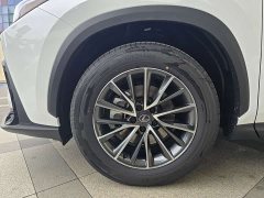 Lexus NX 2025 350h JOY - photo 12