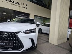 Lexus NX 2025 350h JOY - photo 3