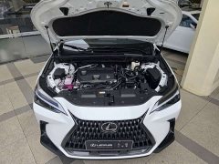 Lexus NX 2025 350h JOY - photo 7
