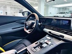 Trumpchi Leopard 270T DCT J11 - ფოტო 7