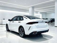 Trumpchi Leopard 270T DCT J11 - ფოტო 9