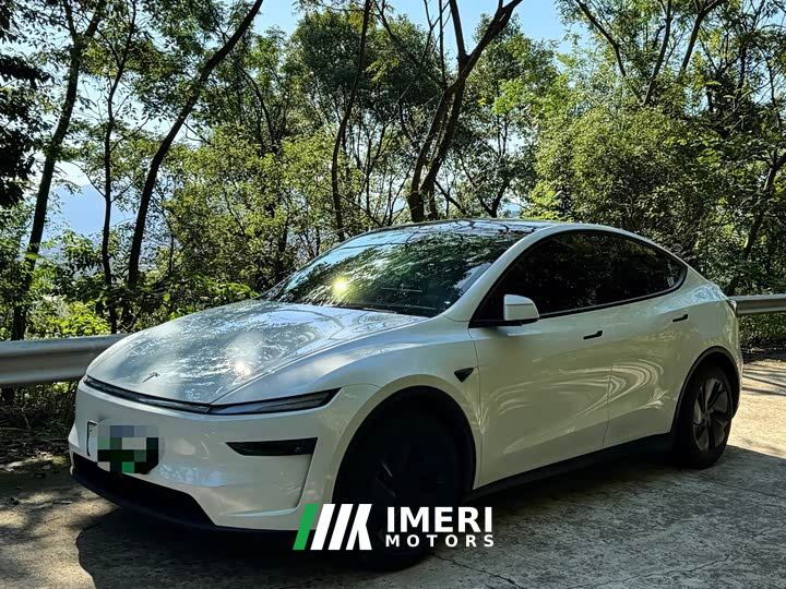 Tesla Model Y Rear-Wheel Drive