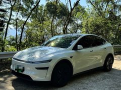Tesla Model Y Rear-Wheel Drive - ფოტო 1