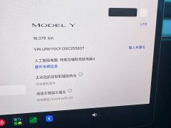 Tesla Model Y Rear-Wheel Drive - ფოტო 14