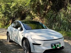 Tesla Model Y Rear-Wheel Drive - ფოტო 2