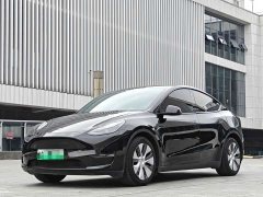 Tesla Model Y Long Range All-Wheel Drive - ფოტო 1