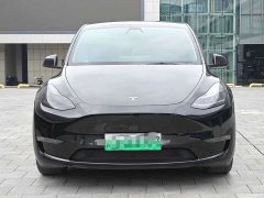 Tesla Model Y Long Range All-Wheel Drive - ფოტო 2