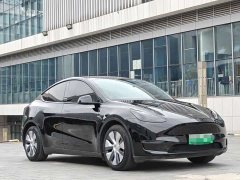 Tesla Model Y Long Range All-Wheel Drive - ფოტო 3