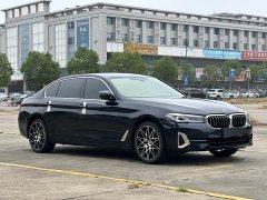BMW 5 Series 530Li Premier Luxury Package - ფოტო 15