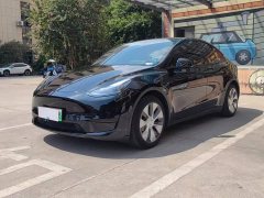 Tesla Model Y 2022 Facelift Rear-Wheel Drive - фото 1