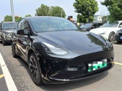 Tesla Model Y Rear-Wheel Drive - ფოტო 3