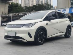 BYD Dolphin Smart Drive 420km Freedom Edition - ფოტო 1