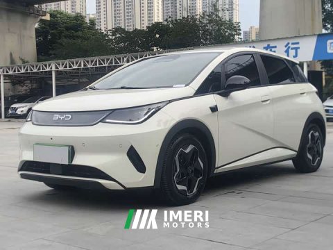 2025 BYD Dolphin Smart Drive 420km Freedom Edition - ავტომობილი ჩინეთიდან