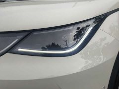 BYD Dolphin Smart Drive 420km Freedom Edition - ფოტო 7