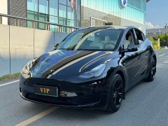 Tesla Model Y Rear-Wheel Drive - ფოტო 1