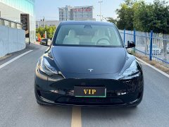 Tesla Model Y Rear-Wheel Drive - ფოტო 2